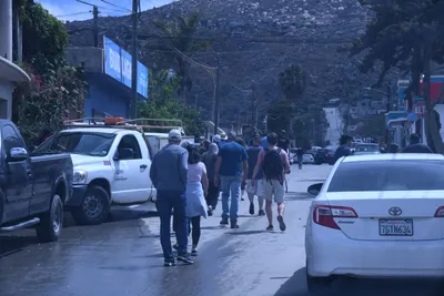 DSC_1011 (Large).JPG